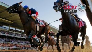 Sảnh Thể Thao Ảo Saba